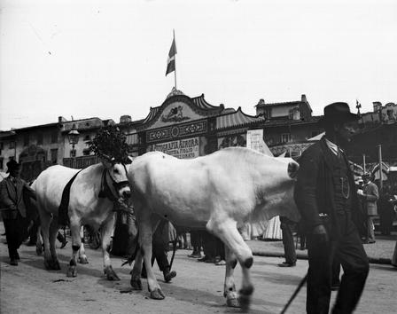 Piazza Mercatale (a.1910)